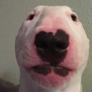 Meet your Posher, Mathew